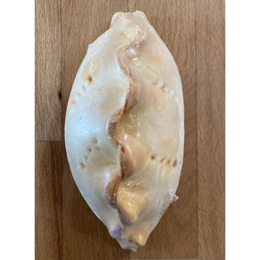 Cornish Styled Pasty